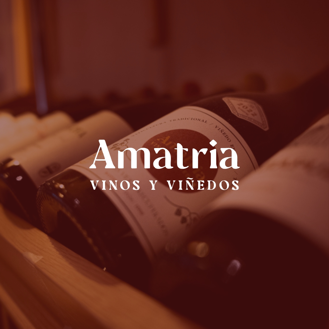 Gestión de redes sociales bodega