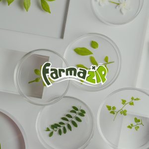 logotipo de farmazip con fondo blanco y verde