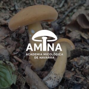 redes sociales academia micológica