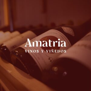 Gestión de redes sociales bodega